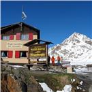 gavia.jpg