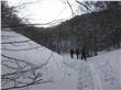 photo_6