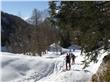 photo_2