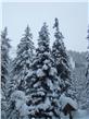 photo_8