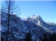 photo_3