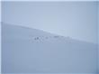 photo_8