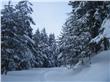 photo_19