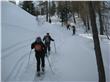 photo_29