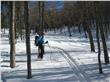 photo_2