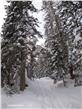 photo_9