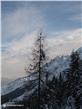 photo_16
