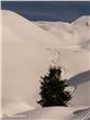 photo_11