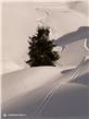 photo_12