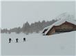 photo_1