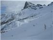 photo_1