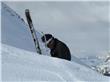 photo_16
