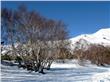 photo_9